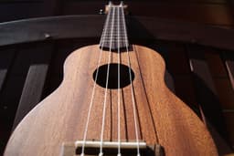 Ukelele